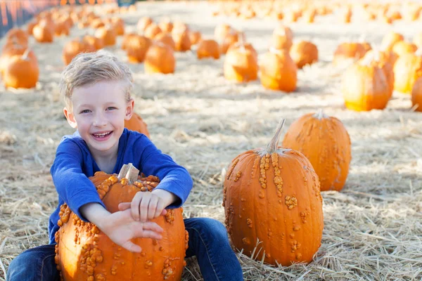 Pojke på pumpkin patch — Stockfoto