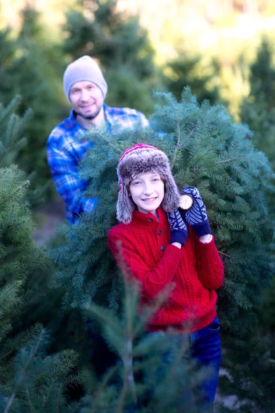 陽気な笑顔の男の子と彼のお父さん屋外のクリスマスツリーファームで新鮮なカットツリーを運ぶ楽しい休日の家族活動 — ストック写真