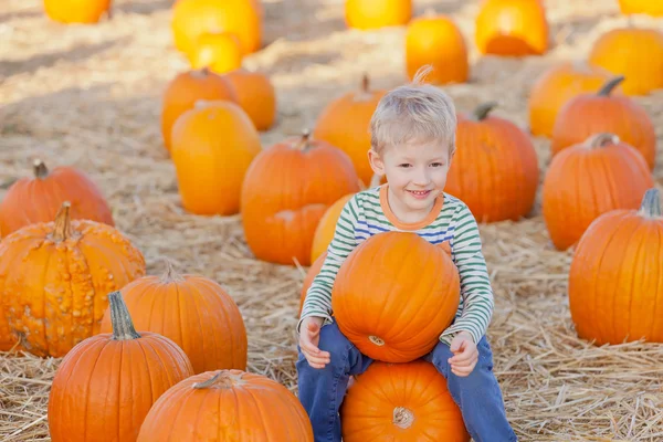 Kid op pompoen patch — Stockfoto