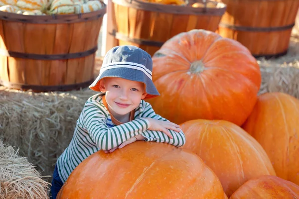 Kid på pumpkin patch — Stockfoto