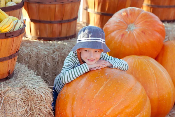 Kid at pumpkin patch — Stock Photo, Image