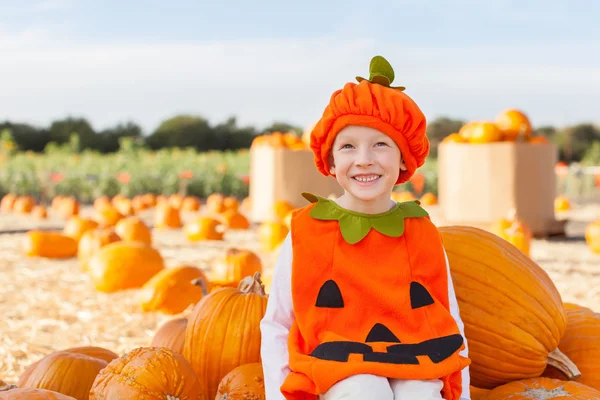 Kid på pumpkin patch — Stockfoto