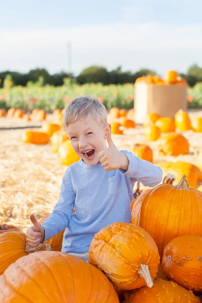 Kind im Kürbisbeet — Stockfoto