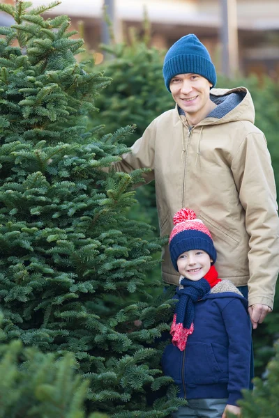 Köpa julgran — Stockfoto