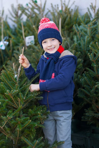 Comprar árbol de navidad — Foto de Stock