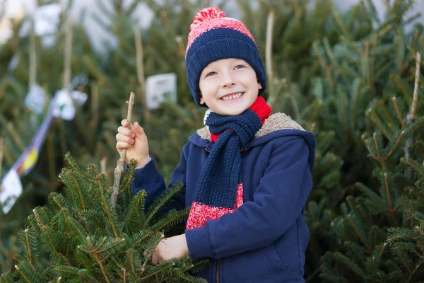 Comprar árbol de navidad — Foto de Stock