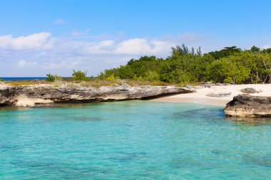 Smith cove beach adlı grand cayman