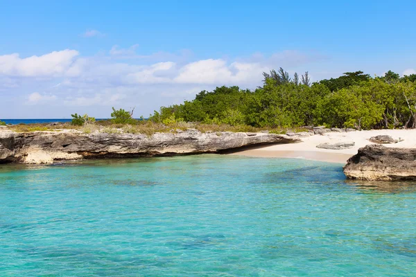 Παραλία του όρμου Smith σε grand cayman — Φωτογραφία Αρχείου