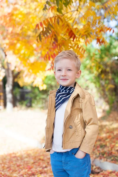 Niño en otoño —  Fotos de Stock