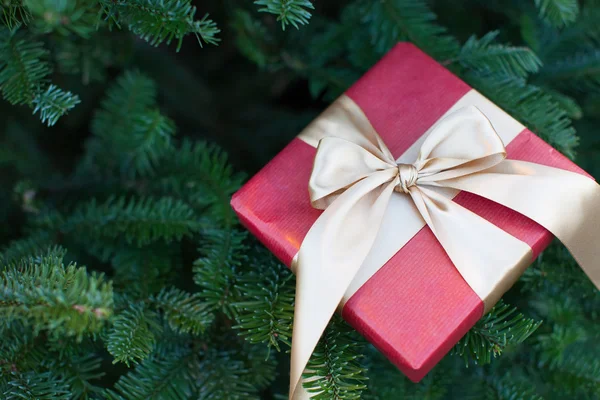 Wrapped present — Stock Photo, Image