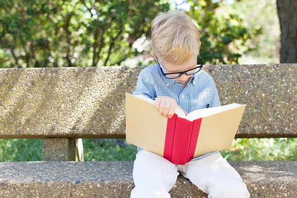 Concepto de regreso a la escuela — Foto de Stock