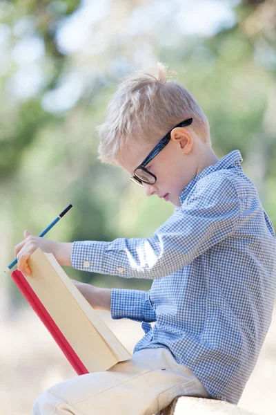 Voltar ao conceito de escola — Fotografia de Stock