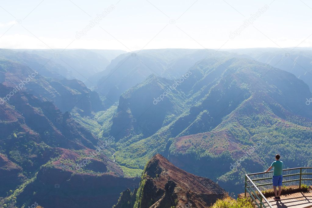 Waimea canyon view