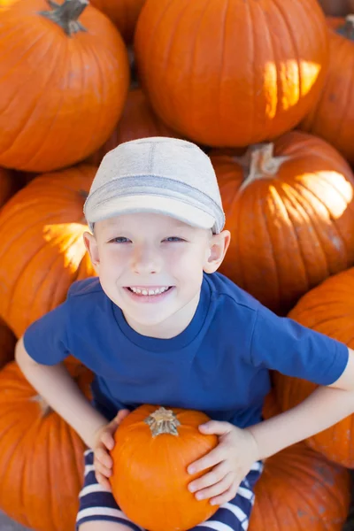 Parche de calabaza — Foto de Stock