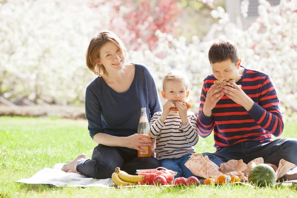 Familj picknick — Stockfoto