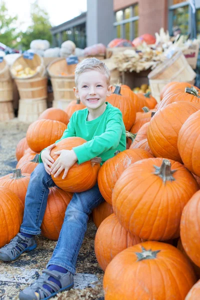 Pumpkin patch — Stockfoto