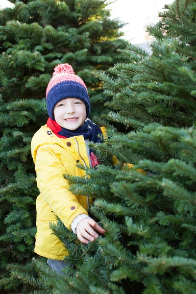 Compras árbol de Navidad — Foto de Stock