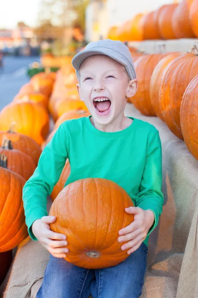 Herfst tijd — Stockfoto