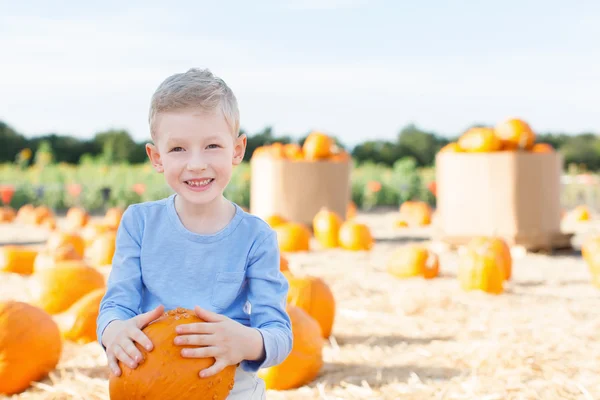 Kid op pompoen patch — Stockfoto