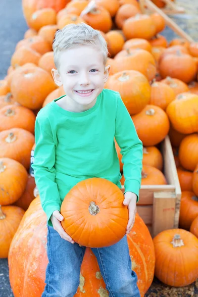 Kid op pompoen patch — Stockfoto