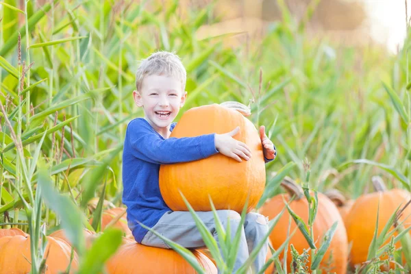 Kind im Kürbisbeet — Stockfoto