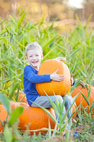 Kid op pompoen patch — Stockfoto