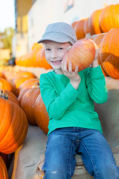 Kind im Kürbisbeet — Stockfoto