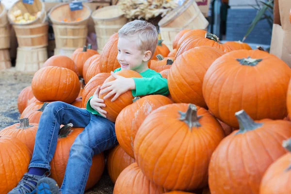 Kid op pompoen patch — Stockfoto