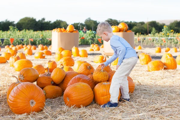 Kid op pompoen patch — Stockfoto