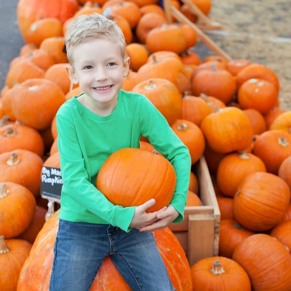Kid på pumpkin patch — Stockfoto