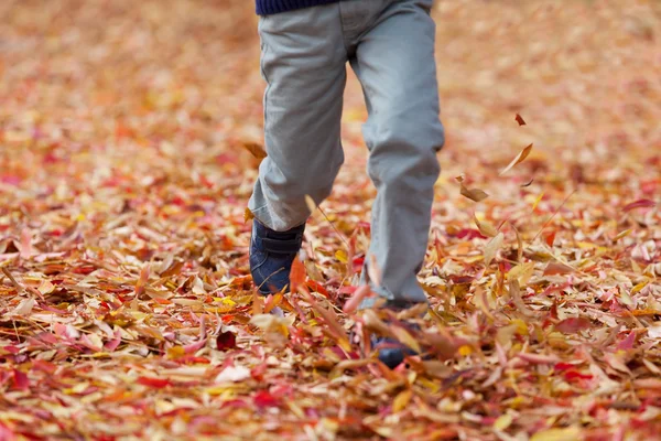 Niño en otoño — Foto de Stock