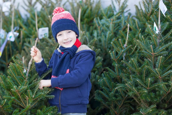 クリスマス ツリーのための買い物の少年 — ストック写真