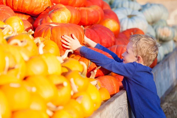 Kid på pumpkin patch — Stockfoto