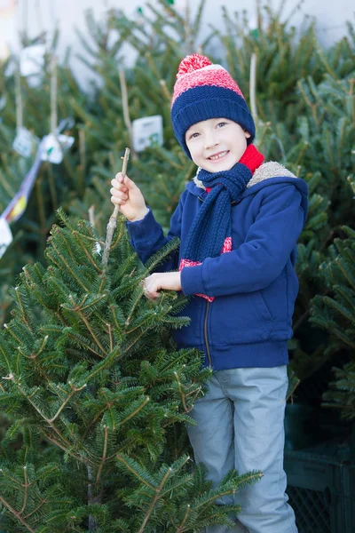 クリスマス ツリーのための買い物の少年 — ストック写真