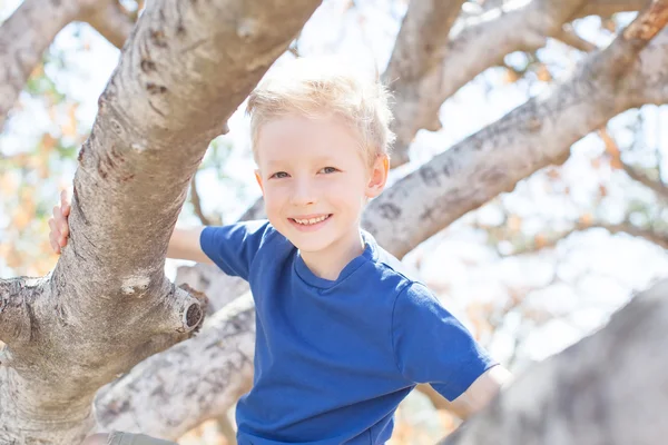 Niño trepando el árbol — Foto de Stock