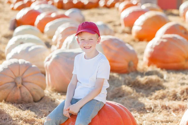 Kid på pumpkin patch — Stockfoto