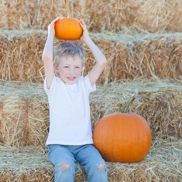 Kid op pompoen patch — Stockfoto