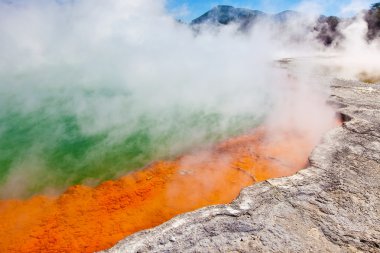 Yeni Zelanda'da şampanya Havuzu