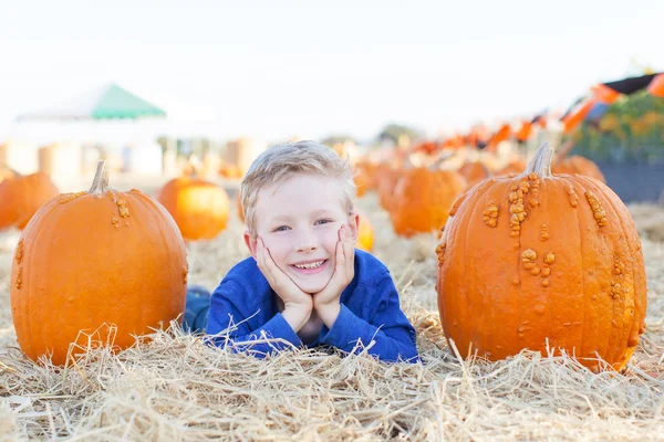 Kid at pumpkin patch — Stock Photo, Image