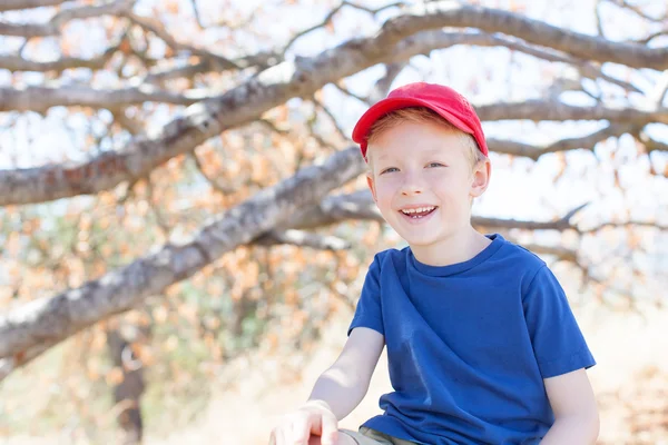 Kid op de boom — Stockfoto