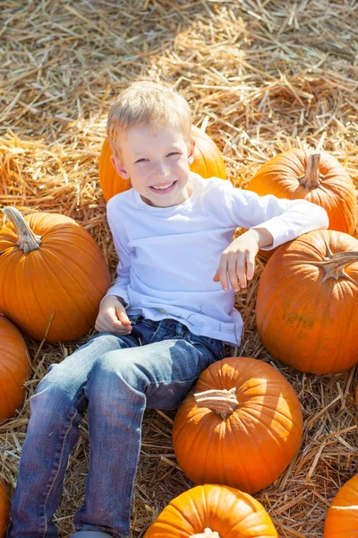 Kid at pumpkin patch — Stock Photo, Image