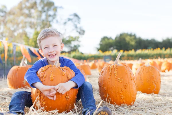 Kid på pumpkin patch — Stockfoto