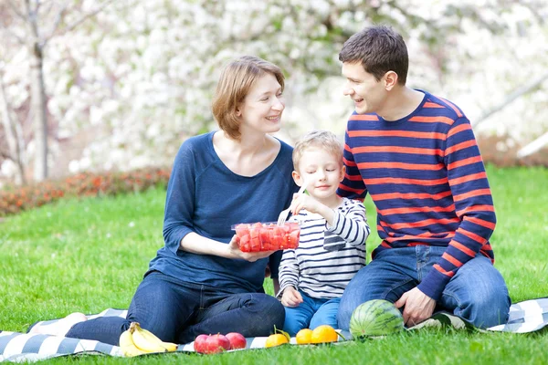 Familienpicknick im Frühling — Stockfoto