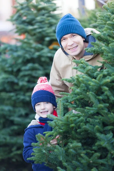 Family shopping for christmas tree — Stock Photo, Image