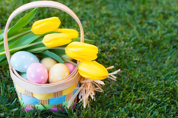 Wielkanoc i wiosna czas — Zdjęcie stockowe