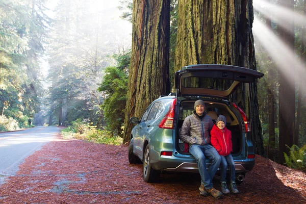 Família na floresta sequoia — Fotografia de Stock