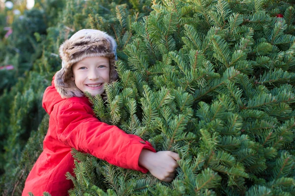 Family buying christmas tree — Stock Photo, Image