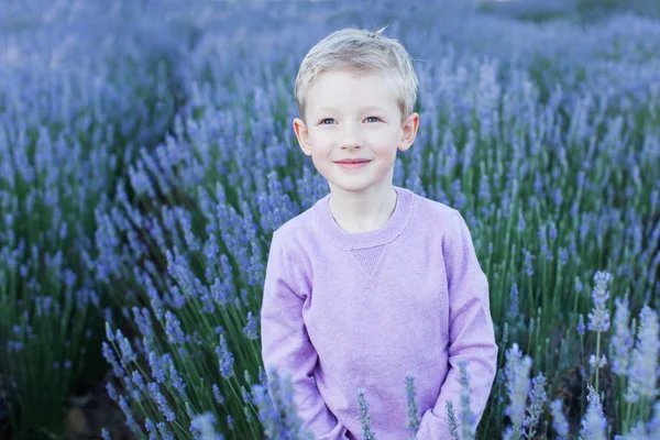 Junge im Lavendelfeld — Stockfoto