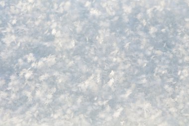 taze kar beyaz arka plan