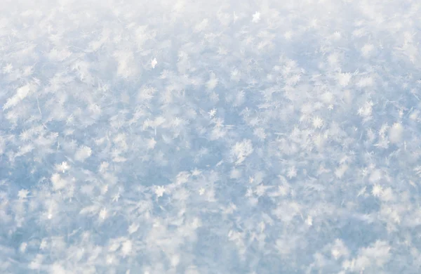 Färsk vit snö bakgrunden — Stockfoto